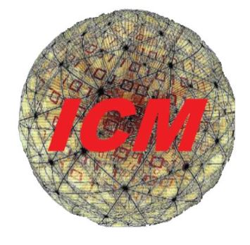 ICM LOGO SS ICM LOGO SS